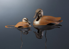 Spot-billed Duck 2